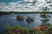 Small islands in Lake Stensjön in the Tyresta National Park in Sweden, from above