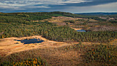 Wild landscape with forest and lakes in autumn in Jämtland in Sweden from above