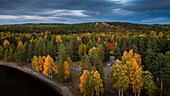 Campingbus VW Bulli im Wald am Seeufer im Herbst in Jämtland in Schweden von oben\n