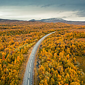 Panoramic Wilderness Road with mountains and trees in autumn in Jämtland in Sweden from above