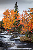 Wasserfall Trappstegsforsen im Herbst entlang der Wilderness Road in Lappland in Schweden\n
