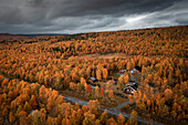Wald mit Herbstlaub entlang der Wilderness Road in Jämtland im Herbst in Schweden von oben\n
