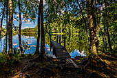 Bootsteg am See im Nationalpark Seitseminen, Finnland
