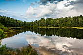 Lake with water reflection, Faßberg, Südheide, Lüneburg Heath Nature Park, Lower Saxony, Germany