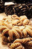 Detailaufnahme der Tentakeln eines Oktopus auf dem Fischmarkt in Venedig, Venetien, Italien, Europa
