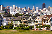The postcard row of the painted ladies is a classic photo motif in San Francisco