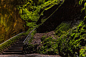 Treppen führen im Naturdenkmal Algar do Carvão hinunter in den dunklen und moos-bewachsenen Vulkanschlot, Terceira, Portugal