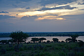 Uganda; Northern Region; Murchison Falls National Park; View of the White Nile at dusk; from Pakuba Lodge