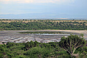 Uganda; Western Region; Queen Elizabeth National Park at Kasenyi; View of the salt pans of Lake Bunyampaka; Salt extraction