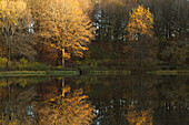 Windsborn Kratersee auf dem Mosenberg, bei Bettenfeld, Eifel, Rheinland-Pfalz, Deutschland