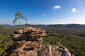 Pine and cross on the sandstone cliffs, Dahner Felsenland, Palatinate Forest, Rhineland-Palatinate, Germany