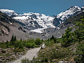 Wanderweg am Morteratsch Gletscher im Engadin in den Schweizer Alpen im Sommer\n
