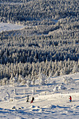 Skigebiet auf den Hausberg bei Levi, Finnland
