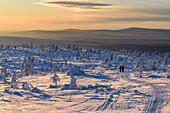 View from Kuertunturi, Hike to Kuertunturi, Landscape at Aekaeslampolo, Aekaeslampolo, Finland Landscape at Aekaeslampolo, Aekaeslampolo, Finland