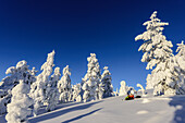 Landschaft bei Äkäslompolo, Schneeschuhlaeufer, Äkäslompolo, Finnland