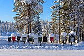 Verschneite Briefkästen, Äkäslompolo, Finnland