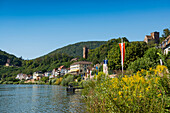 Vierburgenstadt Neckarsteinach am Neckar, Baden-Württemberg, Deutschland