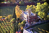 Blick von der Oswaldpromenade auf Weinfelder, Bozen, Südtirol, Italien