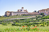 Assisi, Stadtansicht mit Basilika San Francesco, Umbrien, Italien