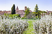 Spello; Stadtansicht, Umbrien, Italien