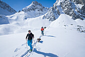 Skitourengeher mit Hund ziehen eine Aufstiegsspur im Tiefschnee zum Tajakopf in Ehrwald, blauer Himmel mit Sonnenschein