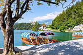 bled; Lake Bled; Bleyski degrees; Pletna rowing boats; Parish Church of Sveti Martin