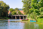 Kostanjevica na Krki; Krka, Fluss, Ruderboote, Slowenien