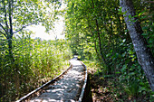 Lahinja Landscape Park near Veliki Nerajec, Nerajski Lugi, Boardwalk