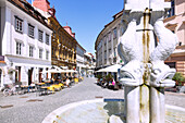 Ljubljana; Stari Grad, Springbrunnen, Slowenien