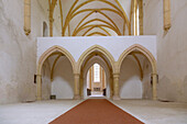 Pleterje Carthusian monastery, Gothic church, interior