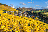 View of the wine village of Okfen, Saar Valley, Rhineland-Palatinate, Germany