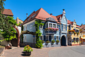 Wine shop in Maikammer, Palatinate Wine Route, Rhineland-Palatinate, Germany