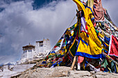 Das Kloster Namgyal Tsemo Gompa, Tsenmo-Hügel, Leh, Ladakh, Jammu und Kaschmir, Indien, Asien