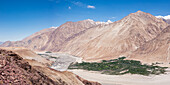 Nubra-Tal, Ladakh, Jammu und Kaschmir, Indischer Himalaya, Nordindien, Indien, Asien