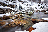 Icy stream near Sonogno, Val Verzasca, Ticino, Switzerland, Europe