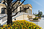 Blumenbeet, Casino, Baden bei Wien, Niederösterreich, Österreich