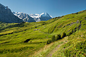 Eiger von Alp Grindel, Grindelwald, Berner Oberland, Schweiz
