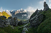 Eiger Nordwand von Spitzen, Alpbaach,   Grindelwald, Berner Oberland, Schweiz