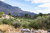 Nida-Hochebene bei Zaros, griechische Insel, Kreta, Griechenland