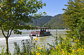 Danube bus, Schlögener loop