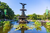 New York City; Manhattan; Central Park; Bethesda Fountain