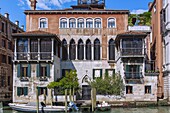 Venedig, Palazzetto Falier Canossa, Canal Grande, Venetien, Italien