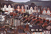High angle view of houses, Plymouth, England
