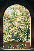 Torbogen mit blühendem Baum im Hintergrund, Millsap's College, Jackson, Hinds County, Mississippi, USA