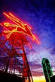 Neon Pegasus sign on top of the Magnolia Hotel at night, Dallas, Texas, USA