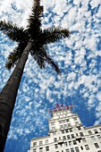 Low angle view of palm tree with El Cortez Apartment Hotel, San Diego, San Diego County, California, USA