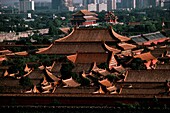 Dächer von Häusern in einer Stadt, Verbotene Stadt, Peking, China