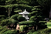Pagode im japanischen Garten, Tokio, Japan