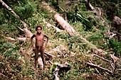 Indonesischer Junge steht in einem Wald mit in die Seite gestemmten Armen, Irian Jaya, Neuguinea, Indonesien