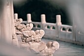Nahaufnahme der weißen chinesischen Steinstatuen, Himmelstempel, Peking, China